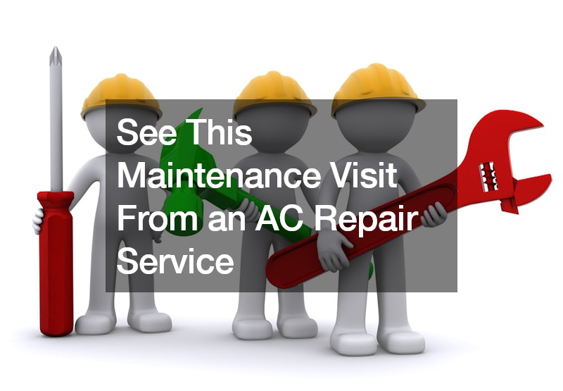 See This Maintenance Visit From an AC Repair Service