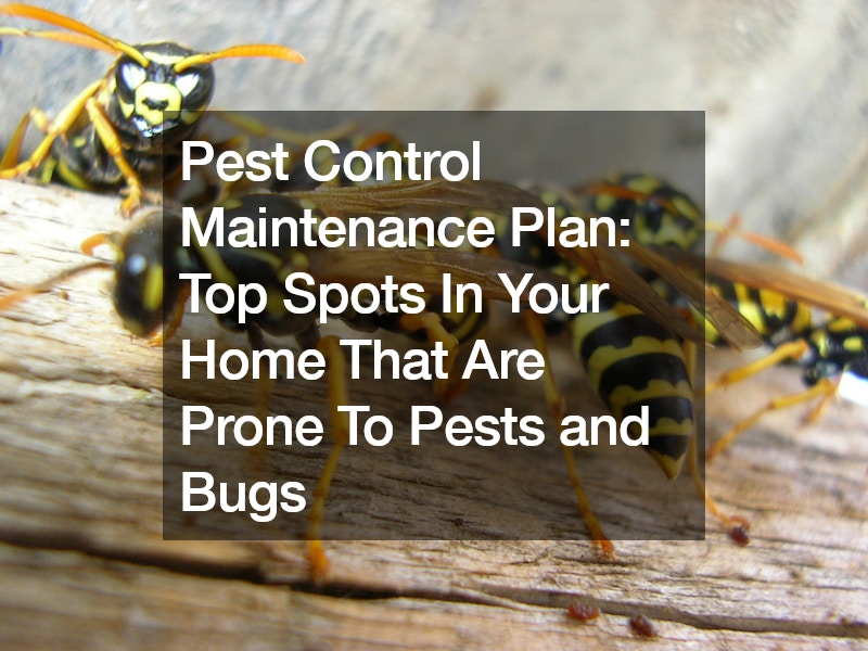 Pest Control Maintenance Plan  Top Spots In Your Home That Are Prone To Pests and Bugs