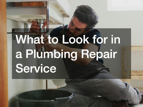What to Look for in a Plumbing Repair Service